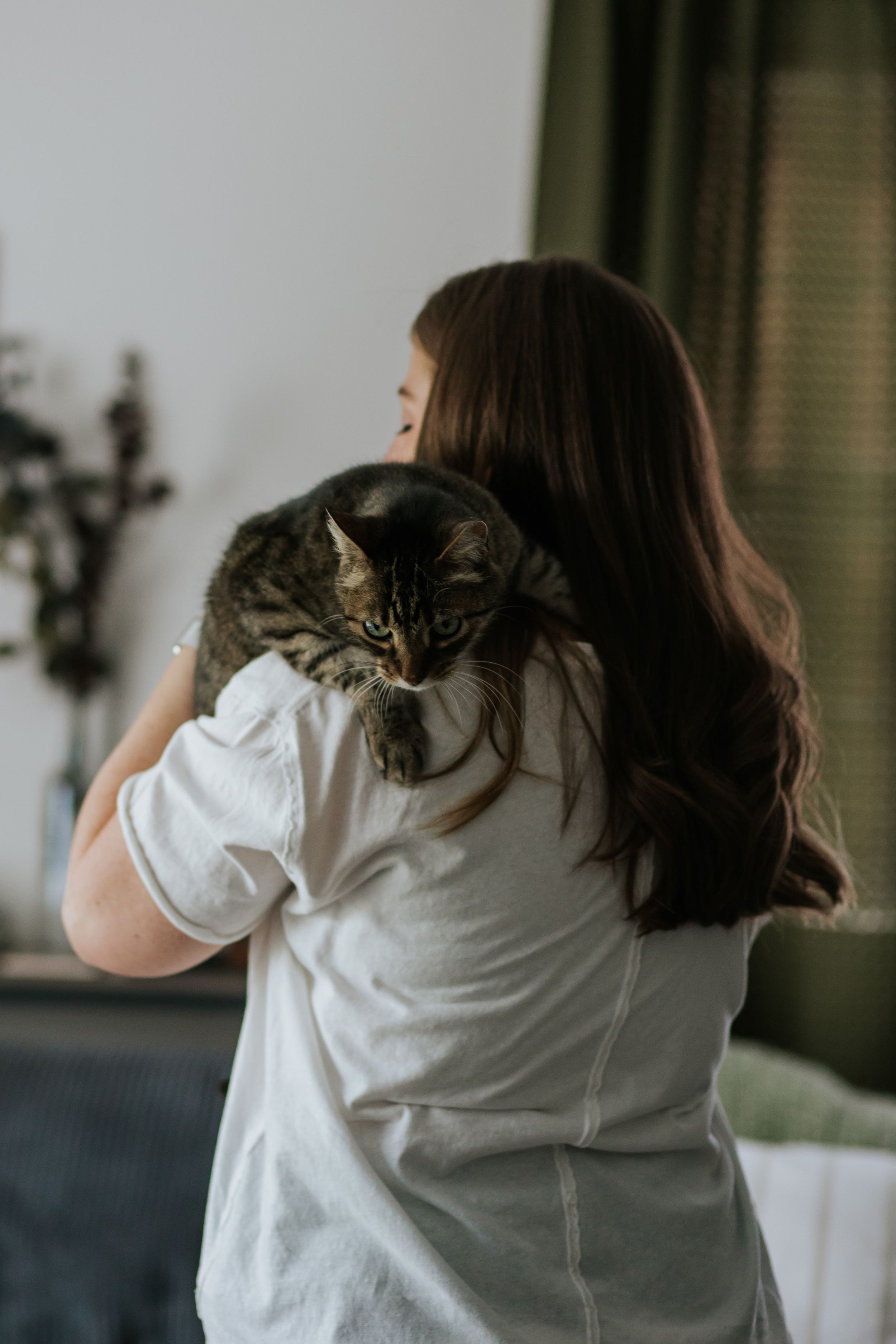 Cat perches on someone's shoulder while they sit in a white shirt by a window.