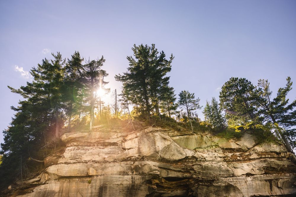 Sunlight streams through trees atop weathered limestone cliffs creating a dramatic silhouette against blue sky.