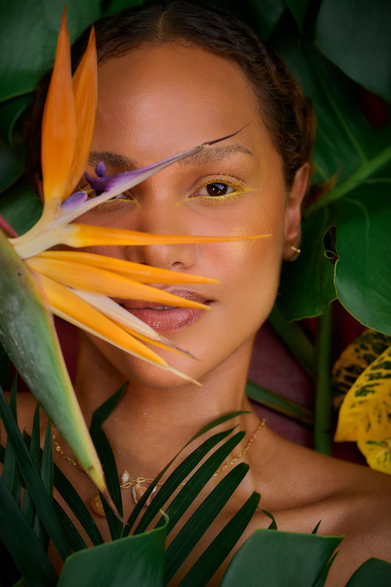 A series of artistic portraits featuring an orange bird of paradise flower creating dramatic shadows and contrasts.