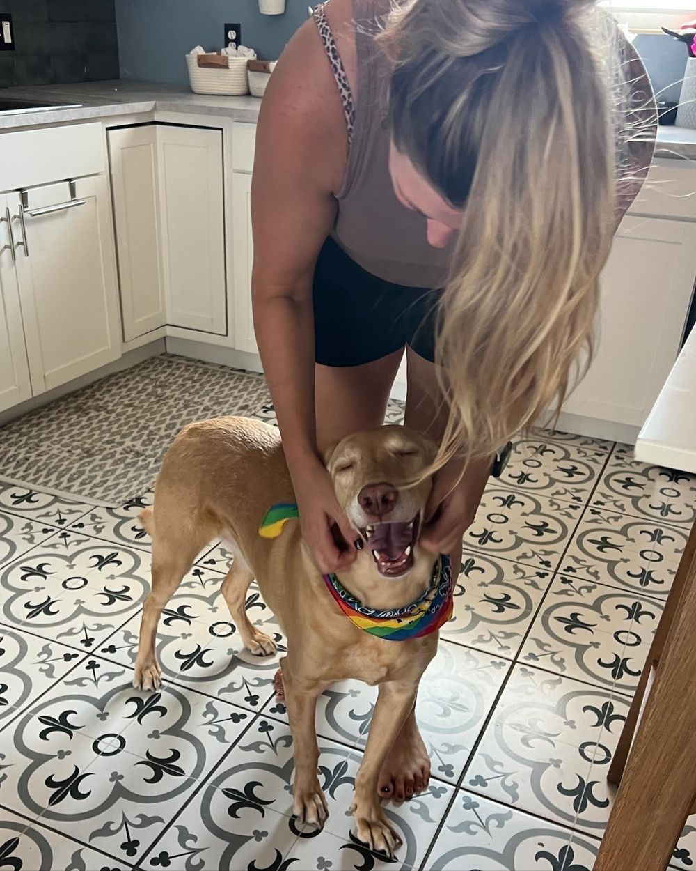 A person brushes a golden retriever's teeth on a decorative tiled floor in a bathroom.