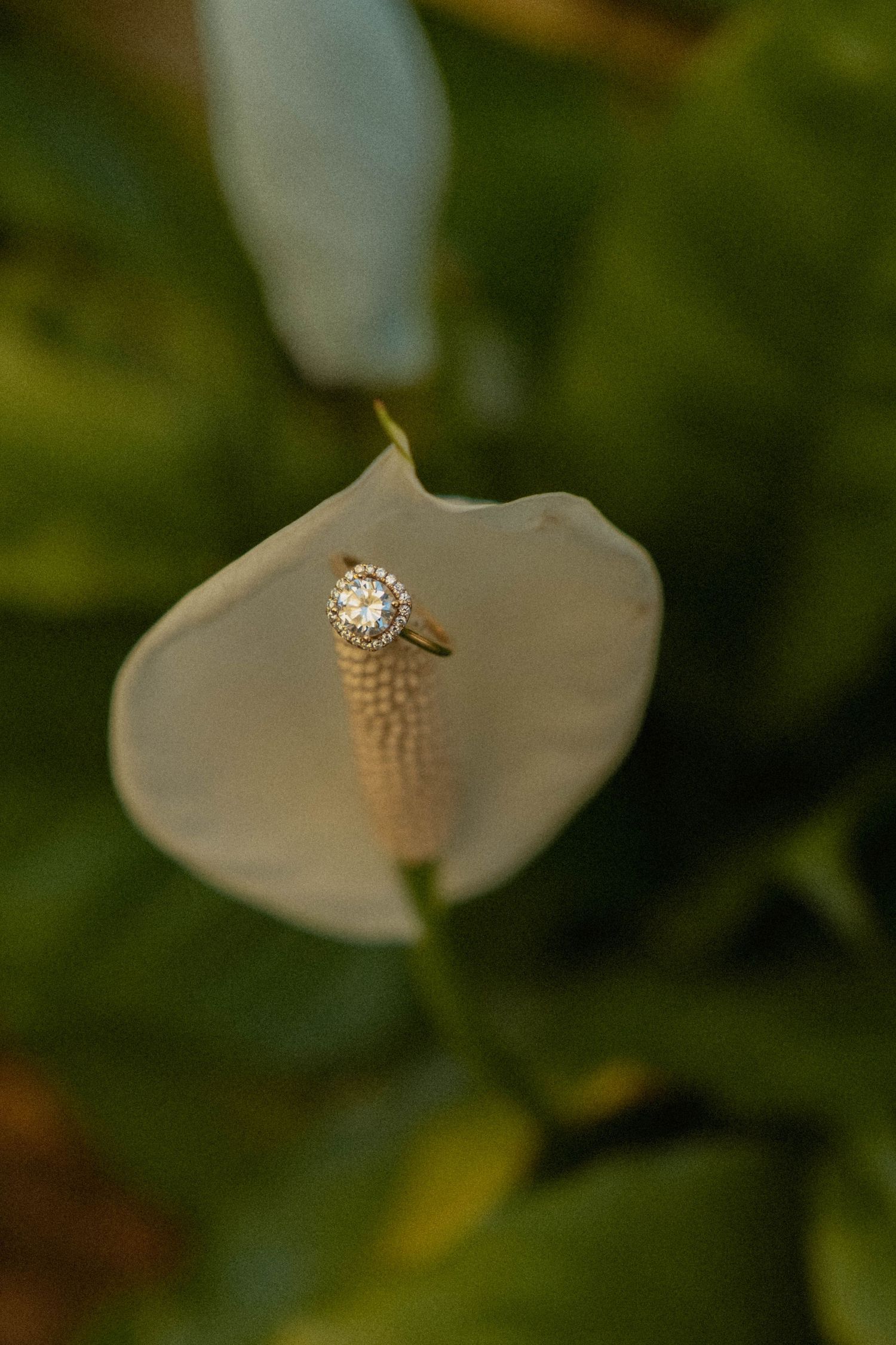 Close-up shot of diamond engagement ring resting on green leaf.