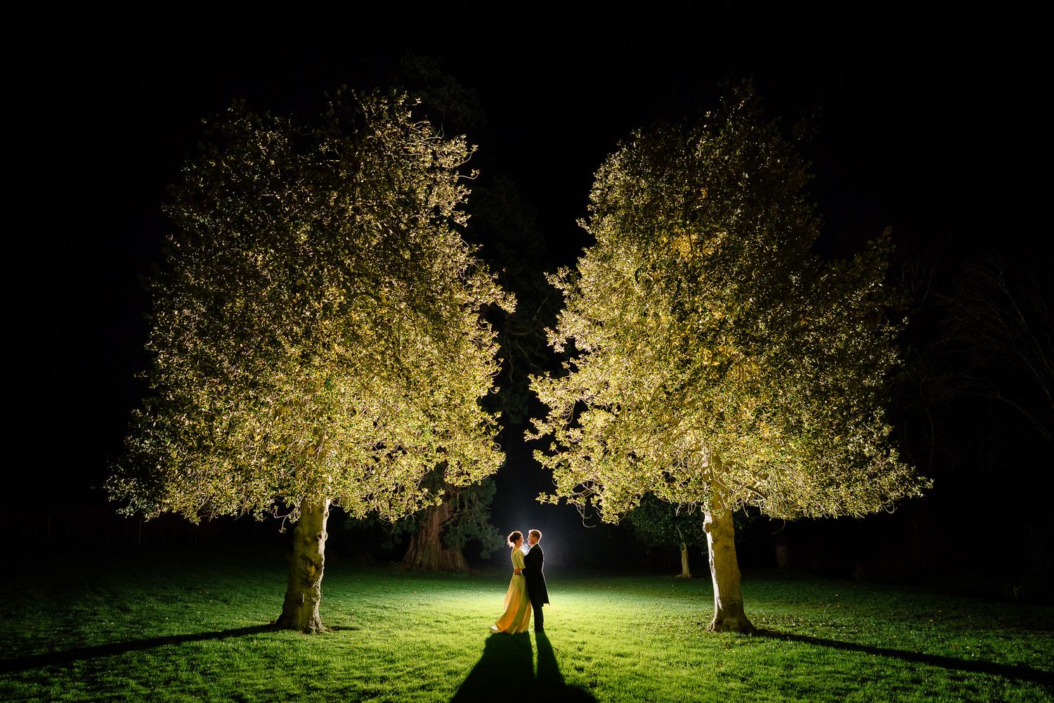 Dramatic nighttime outdoor lighting illuminating trees at an evening wedding venue. Ellingham Hall