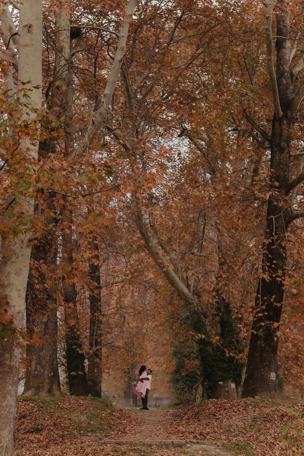 A tranquil autumn forest path covered in fallen orange leaves with tall trees creating a natural canopy.