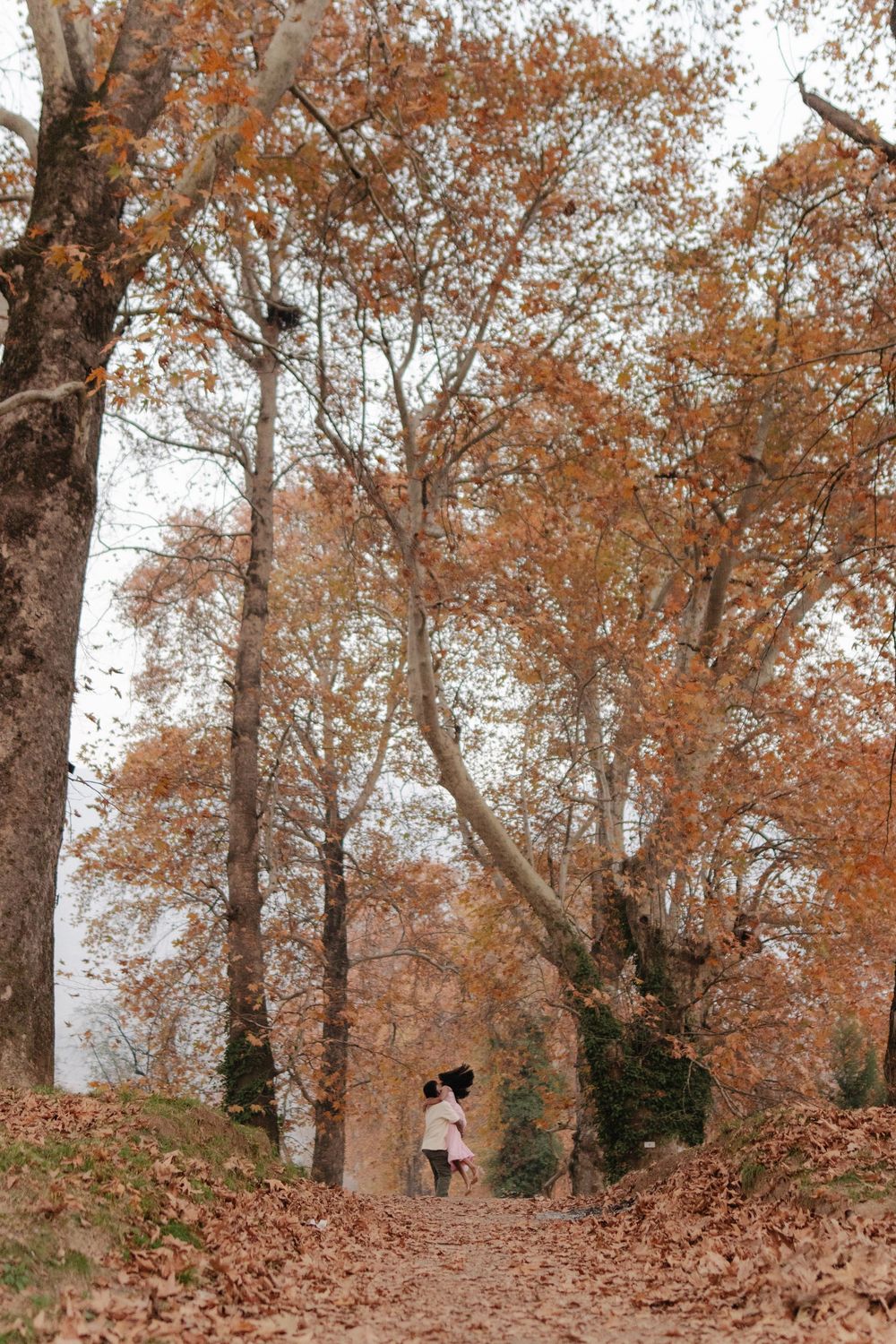 Misty woodland trail lined with bare trees and orange autumn foliage creating a serene natural corridor.