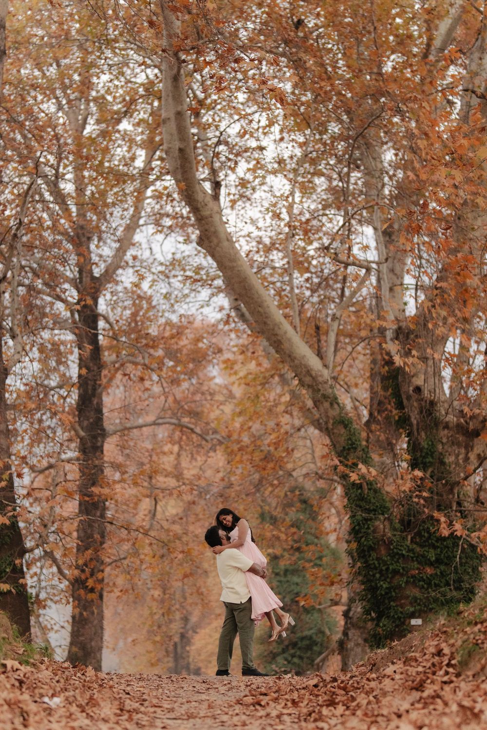 A series of autumn photos showing people walking through a forest with orange and brown fallen leaves on the ground.