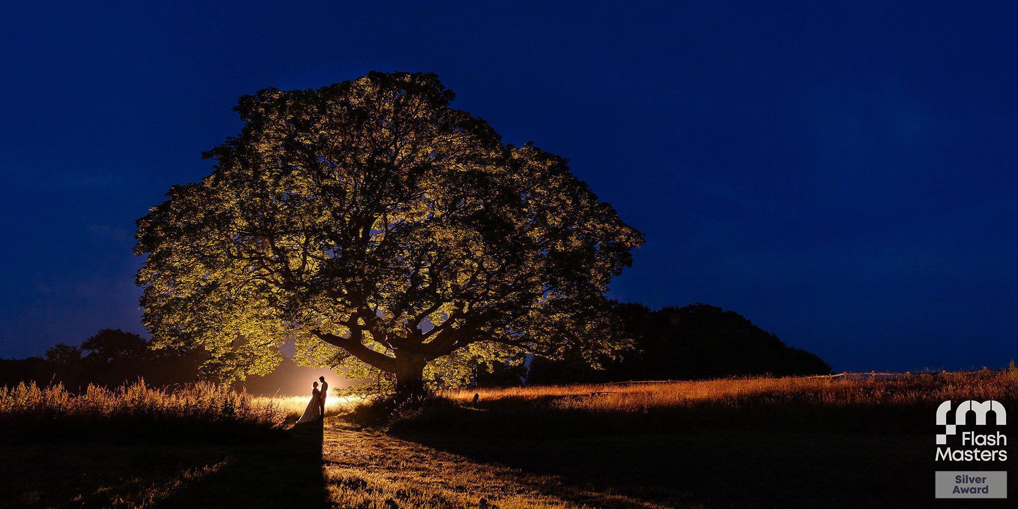 Silhouetted trees against a dark blue twilight sky with dramatic lighting creating a mystical scene.