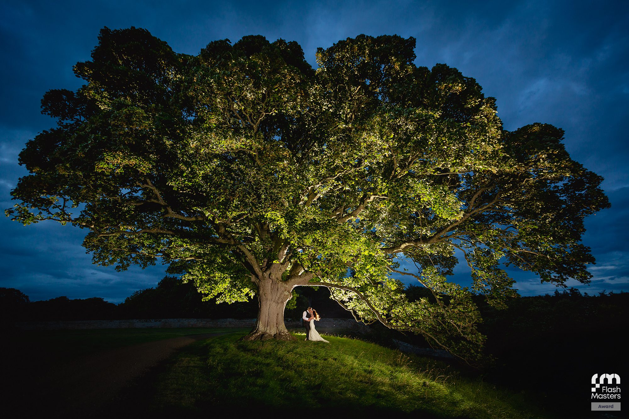 Illuminated trees create a dramatic silhouette against a deep blue night sky at an outdoor wedding venue.