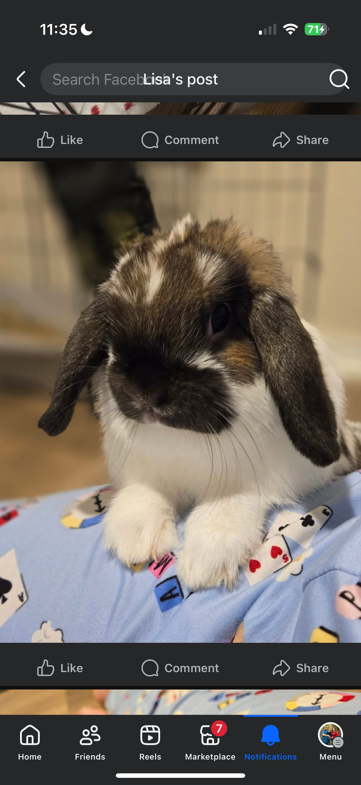 Black and white rabbit lying on light blue fabric with playing cards scattered around it.