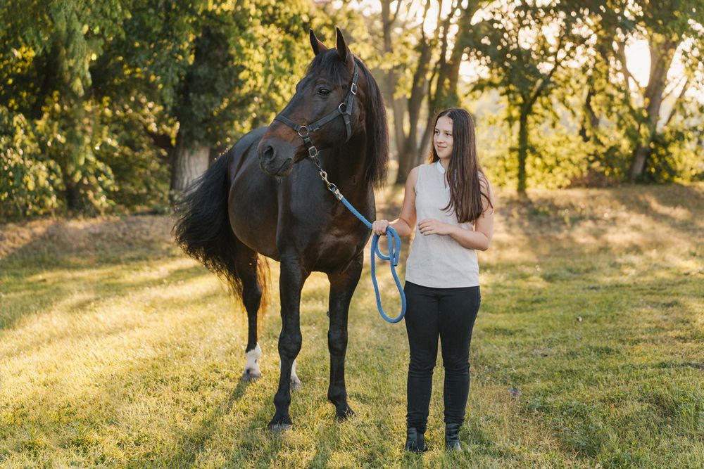 Girl walking with a black horse through a sunlit meadow at golden hour photoshoot in Sydney