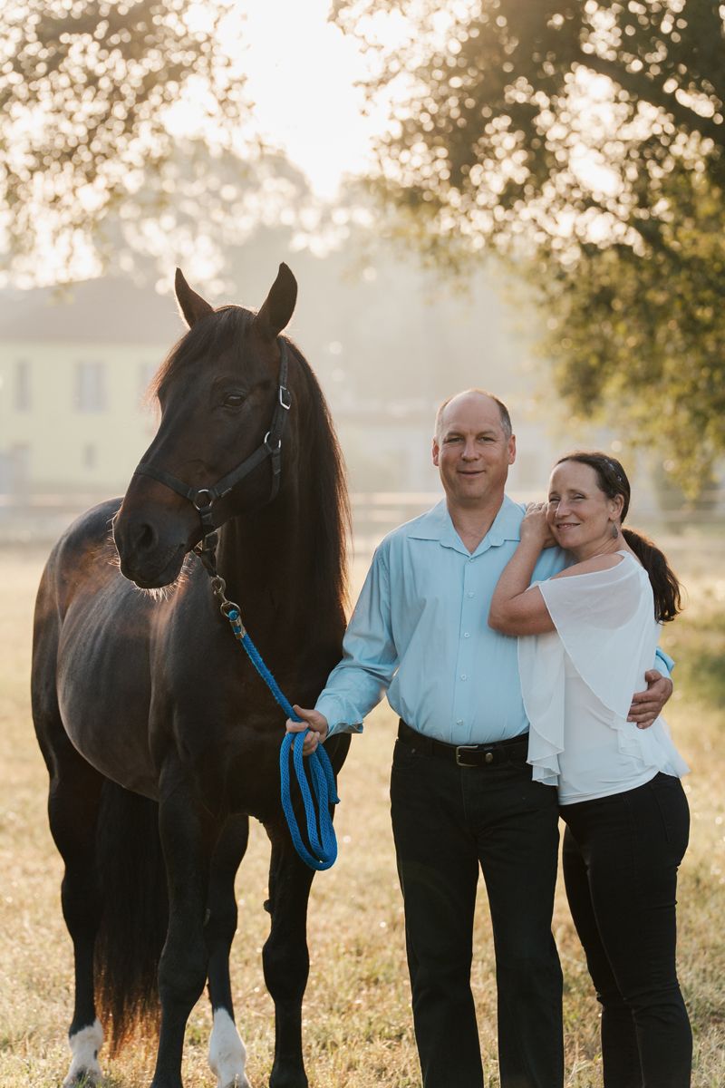 A couple poses with their dark horse in a sunlit field wearing light blue and white outfits in Sydney