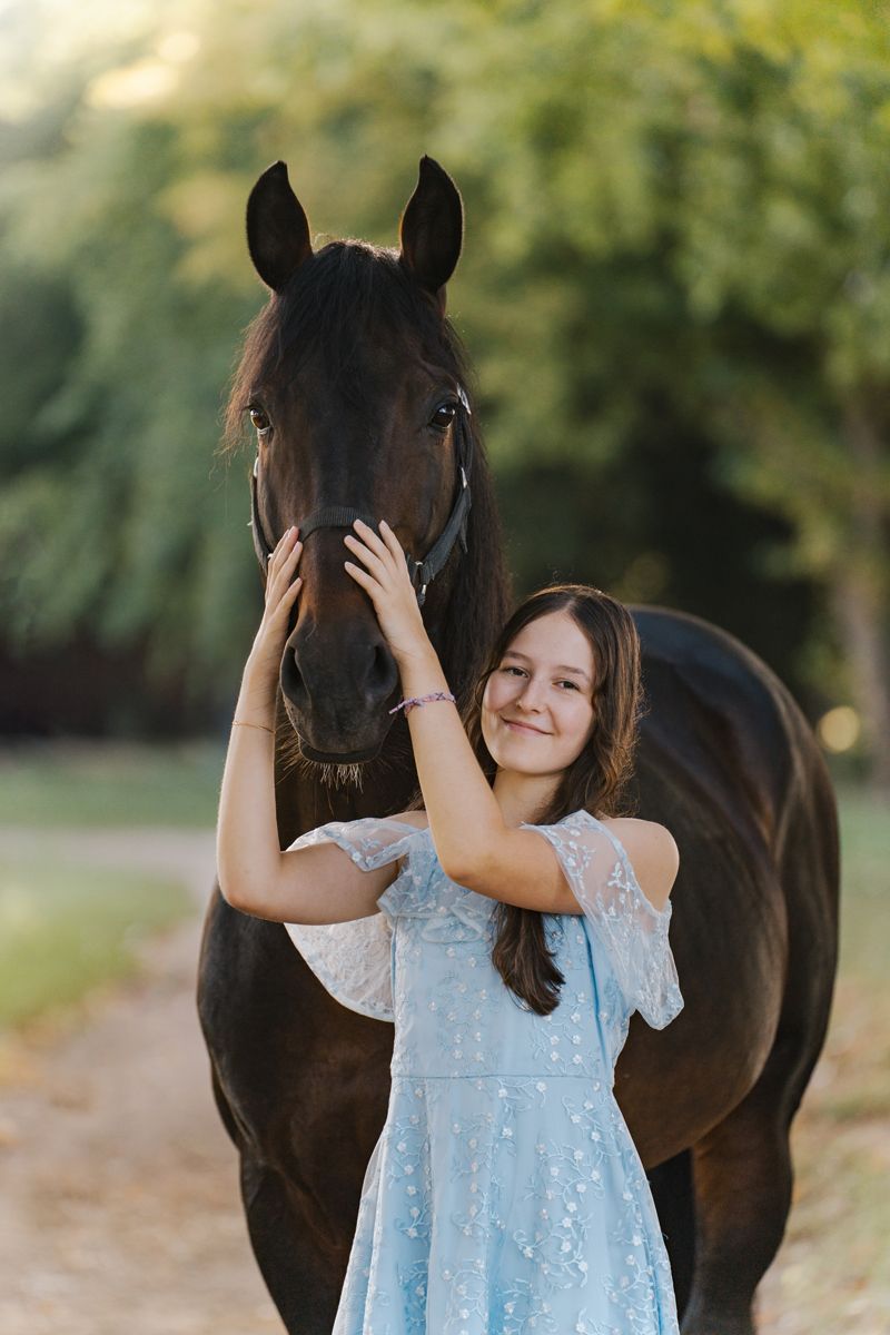 A young girl in a blue dress pets a dark horse's face during a golden hour photoshoot in sydney