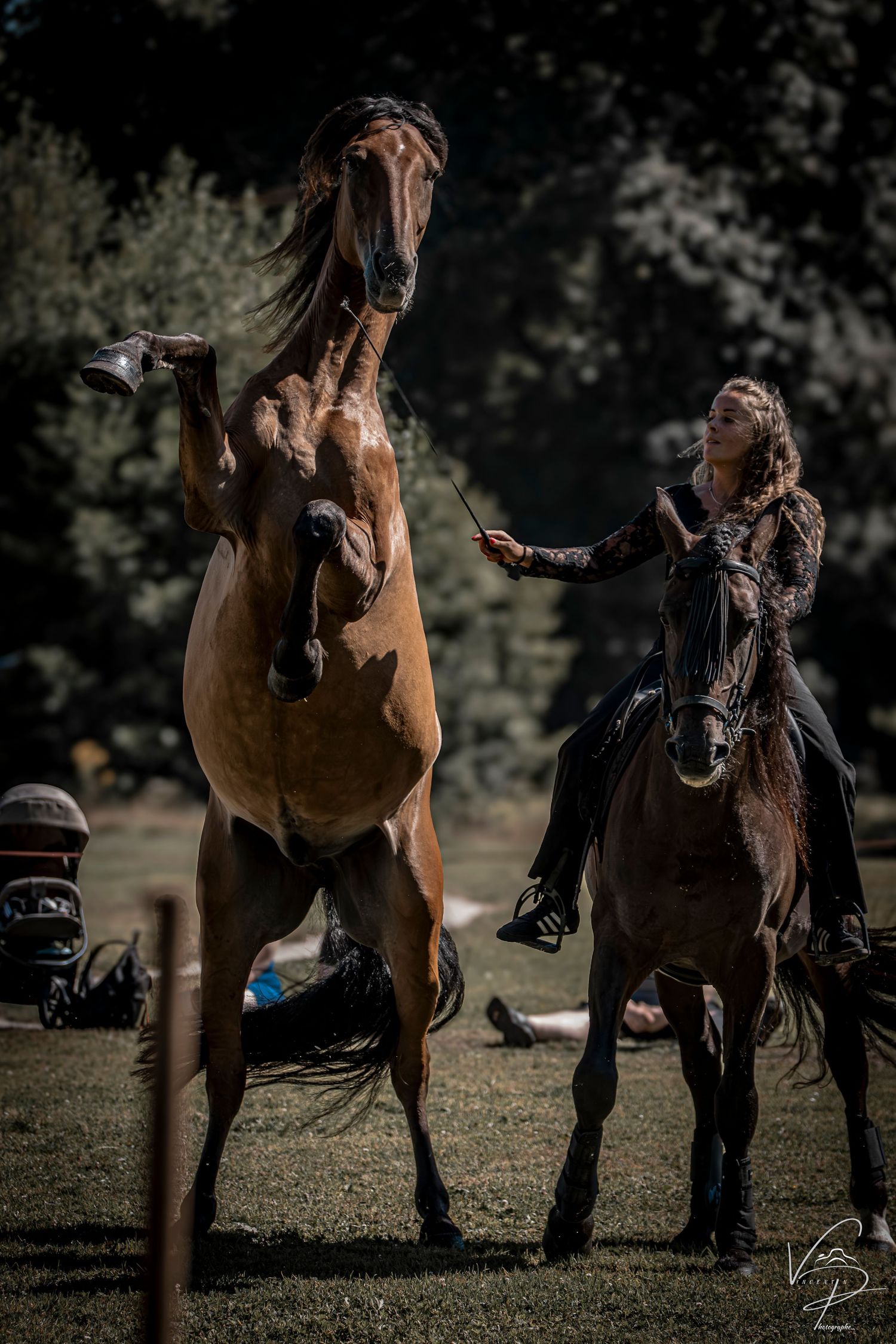 Dramatic equestrian performance featuring a brown horse and rider against a dark background.