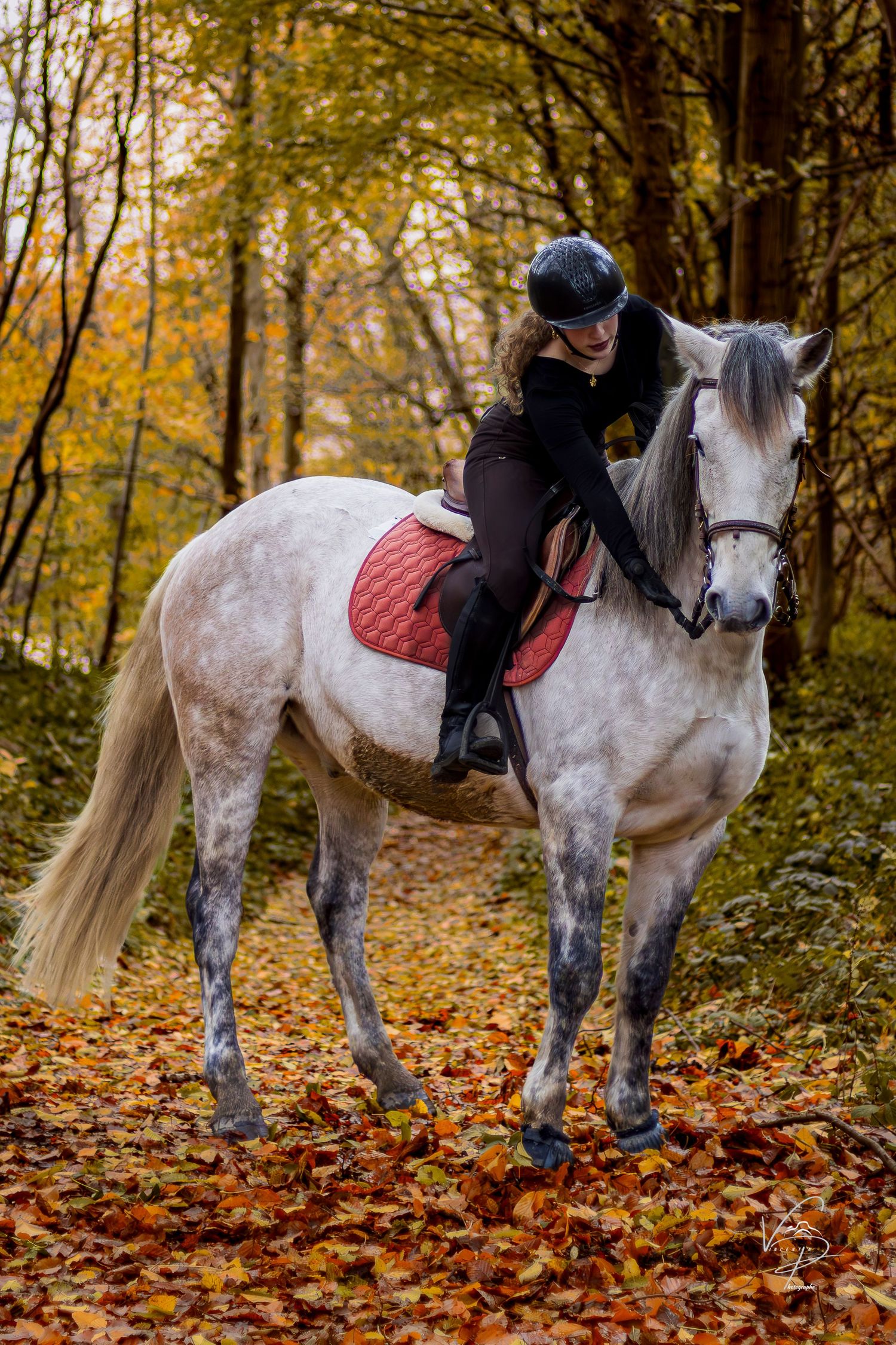 White horse with rider walking through autumn forest with fallen leaves on ground.