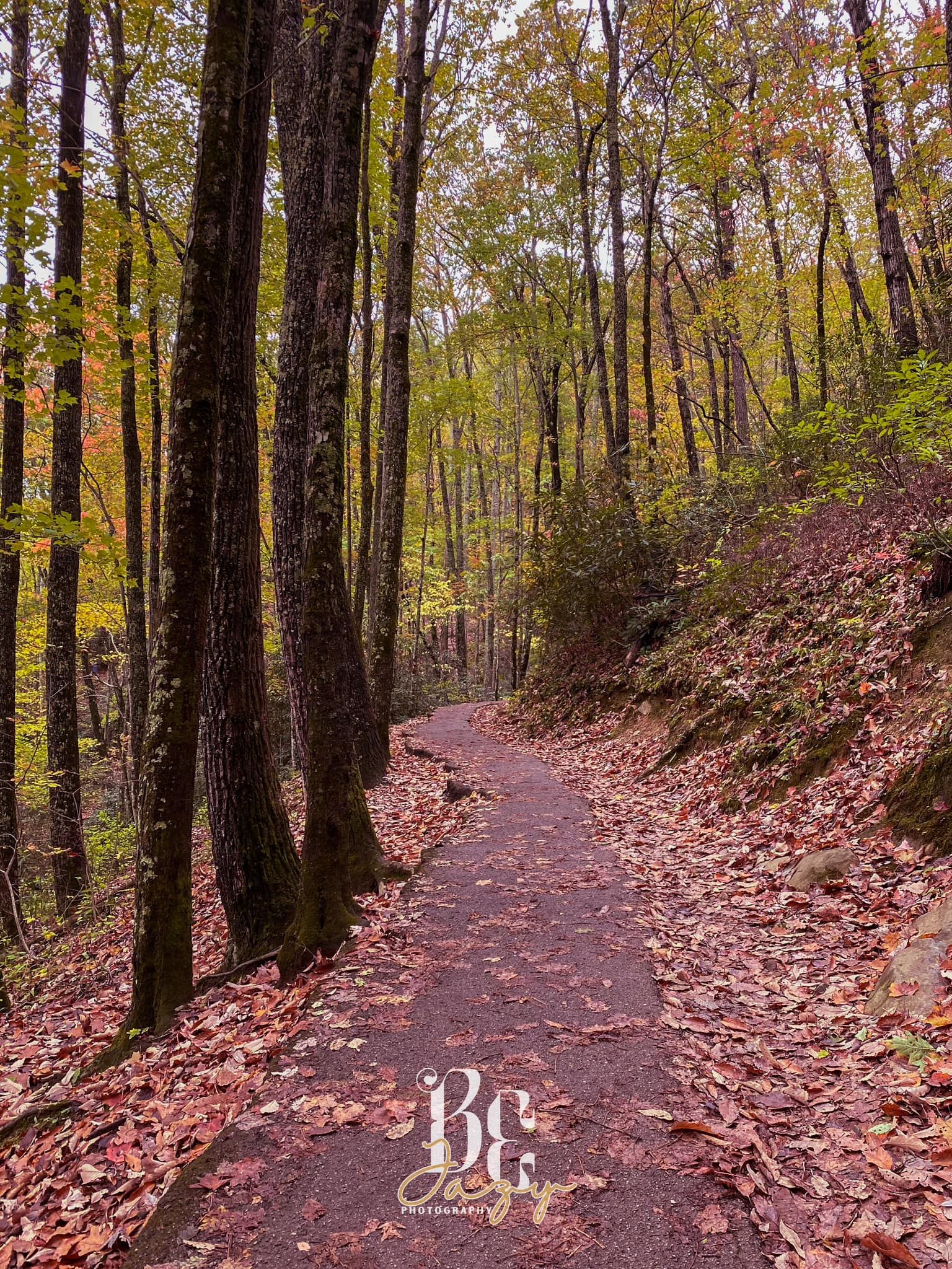 BE Jazy Photography-Fine Art-wall art-home-space-decor-nature-fall-mountain-colorful trail-Tennessee art