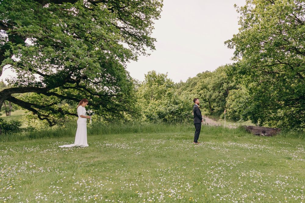 A panoramic view of a lush green park with tall trees and scattered wildflowers on a sunny summer day.