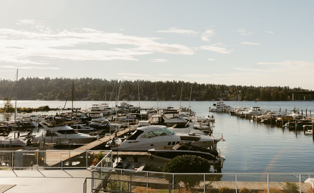 Panoramic view of boats docked at a marina with evergreen trees lining the shoreline under a cloudy sky.