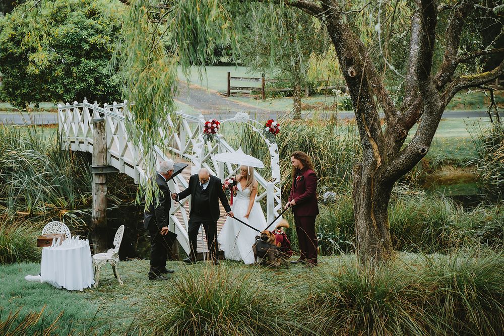 A wedding party gathers under weeping willow trees in a lush garden setting during an outdoor ceremony.