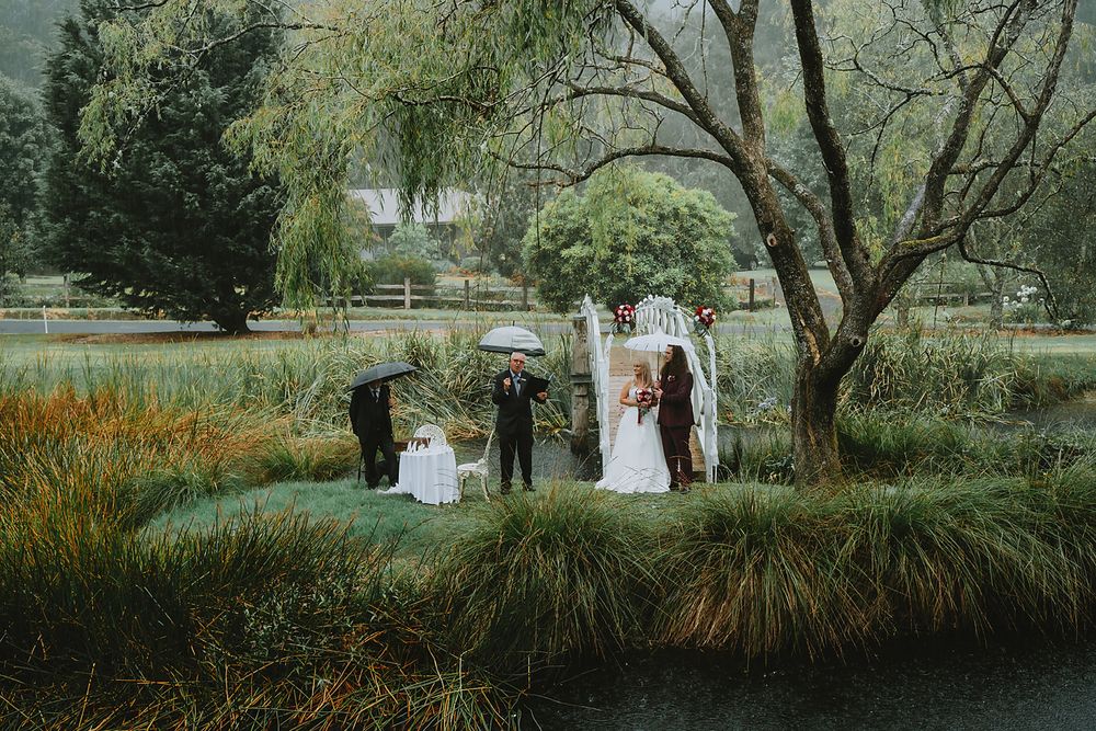 A serene outdoor garden wedding ceremony setup with white chairs arranged on grass near a tranquil pond.