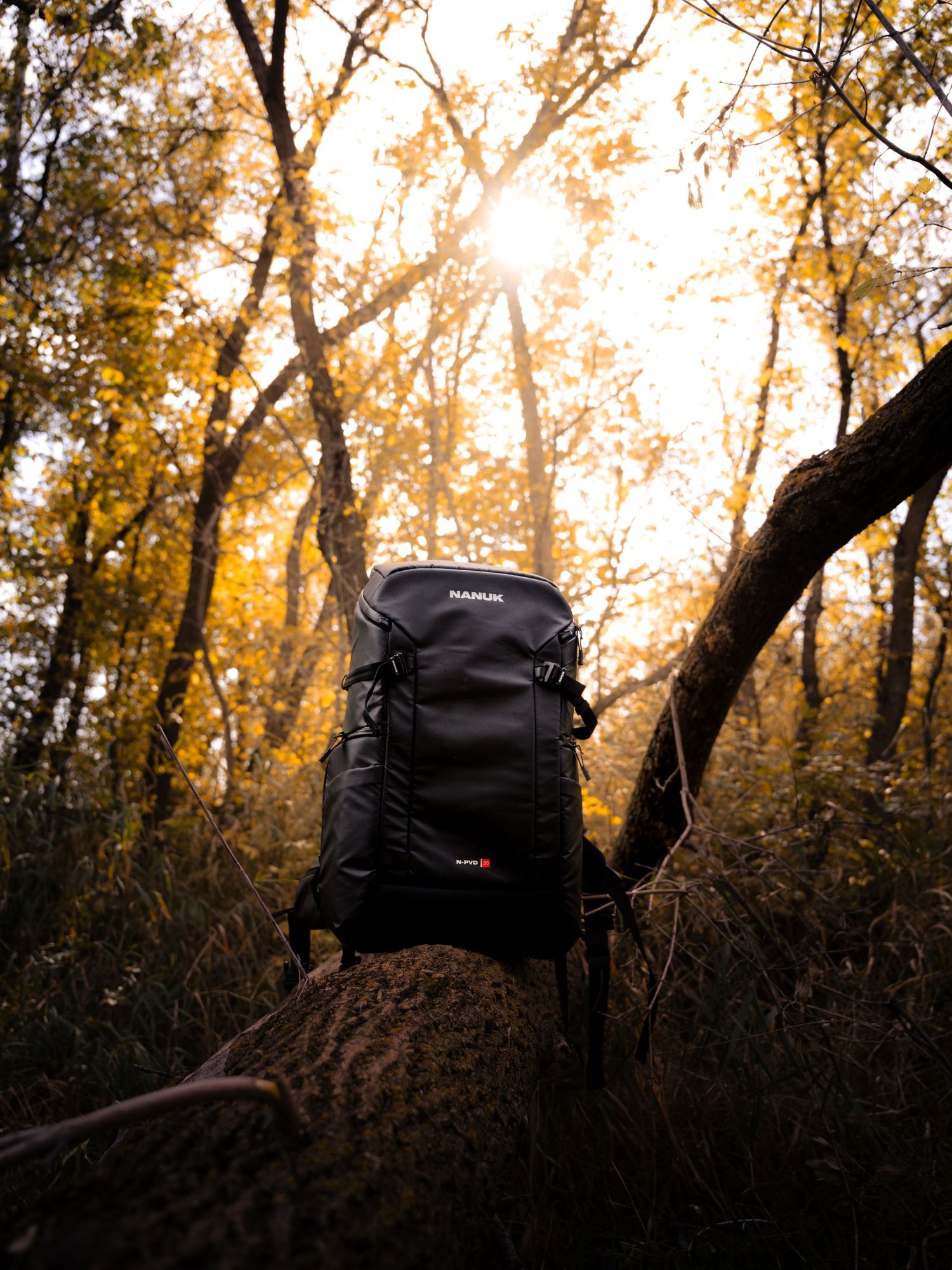 Silhouette of camping backpack against golden autumn forest background.