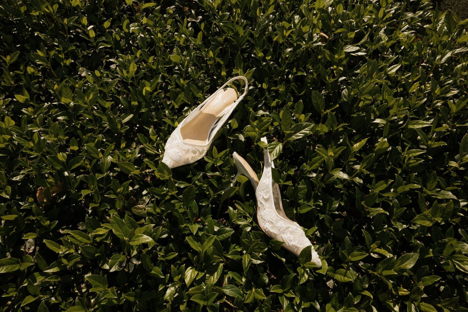 Elegant white wedding shoes arranged on a bed of lush green foliage.