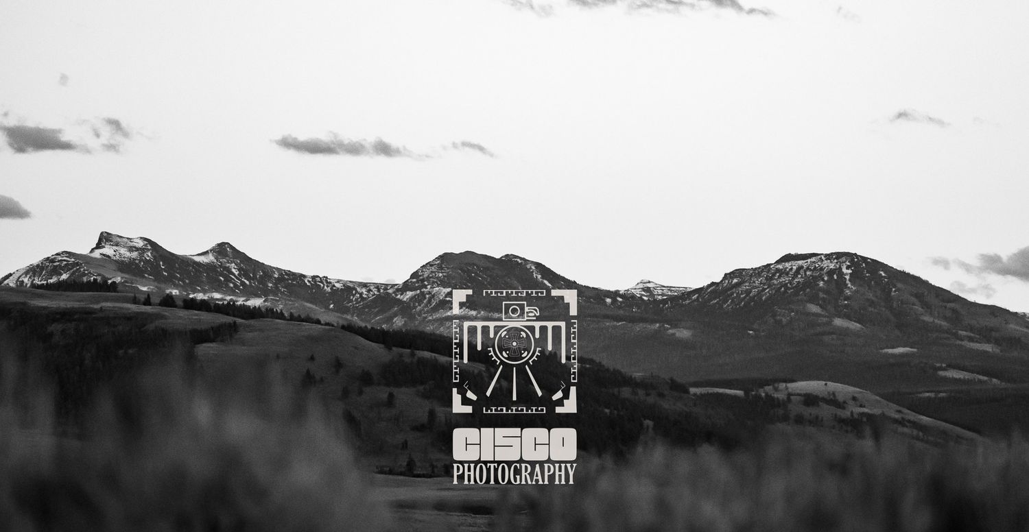 cisco photography wildlife, mountains , national parks photography for businesses, photography for office Fotografía de vida silvestre,