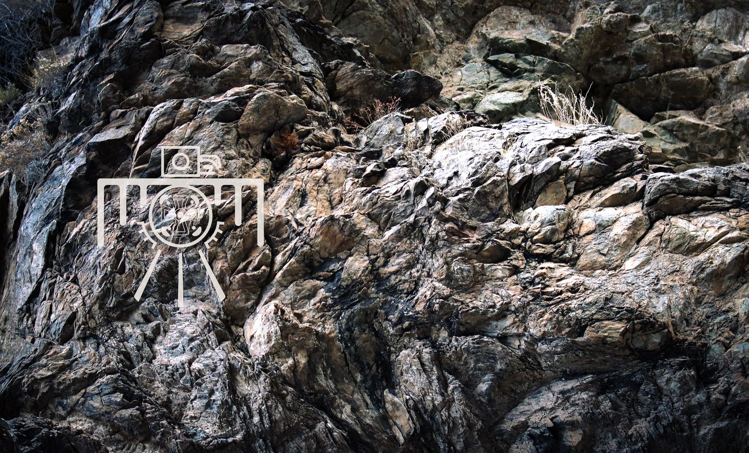 cisco photography wildlife, rocks macro , national parks photography for businesses, photography for office Fotografía de vida silvestre,