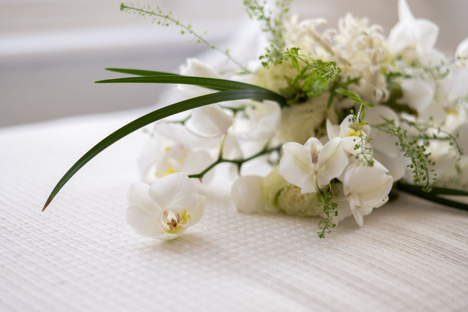 White orchid blooms and delicate greenery arranged on light fabric background.