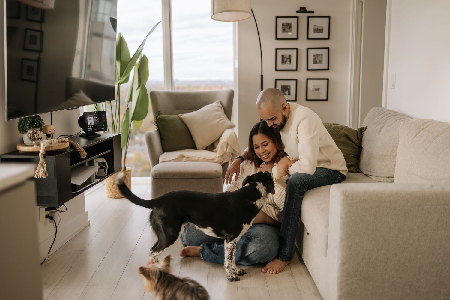couple in their living room, in their maternity photoshoot, with their dogs around her, curious