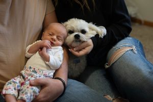 A peaceful family moment with a small white dog joining parents and their newborn on the couch.