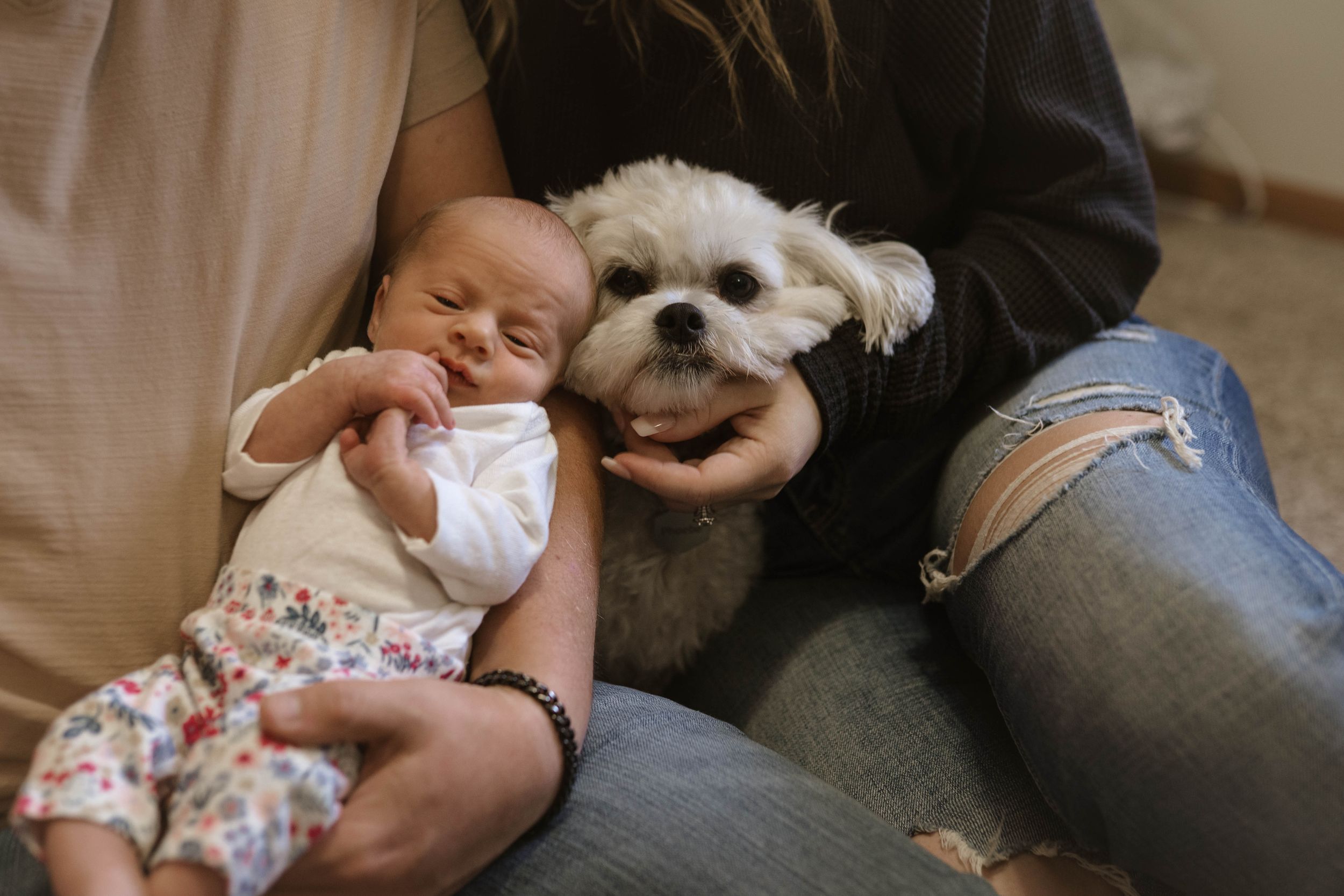 Intimate family moment with small white dog and floral-dressed baby.