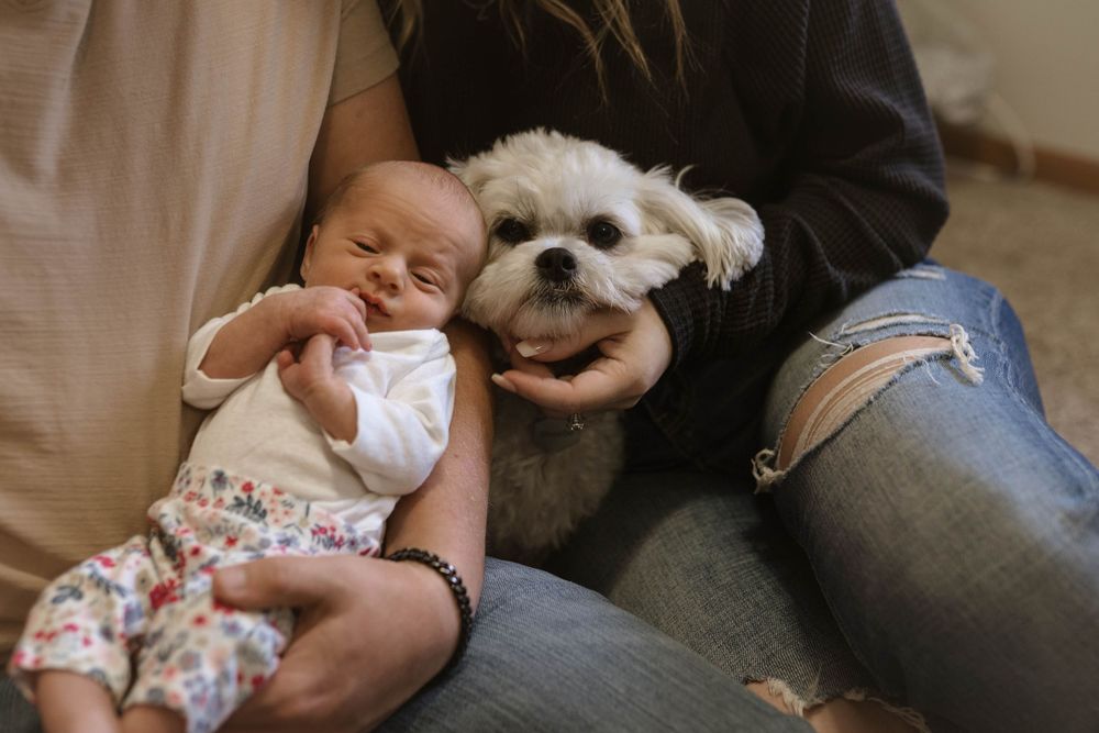Intimate family moment with small white dog and floral-dressed baby.