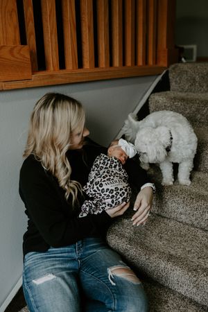 Person in jeans sitting on carpeted stairs with white dog nearby.