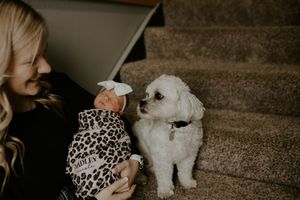 Small white dog sitting on carpet near someone in leopard print clothing.