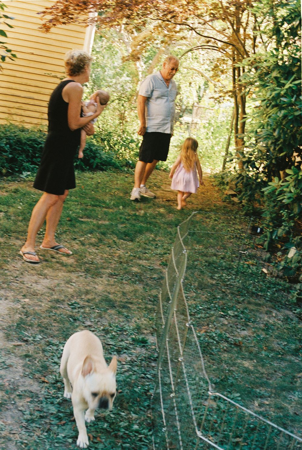 Grandpa watches his granddaughter while Grandma holds her newborn little sister and the French bulldog runs by. A family gathering in Maine.