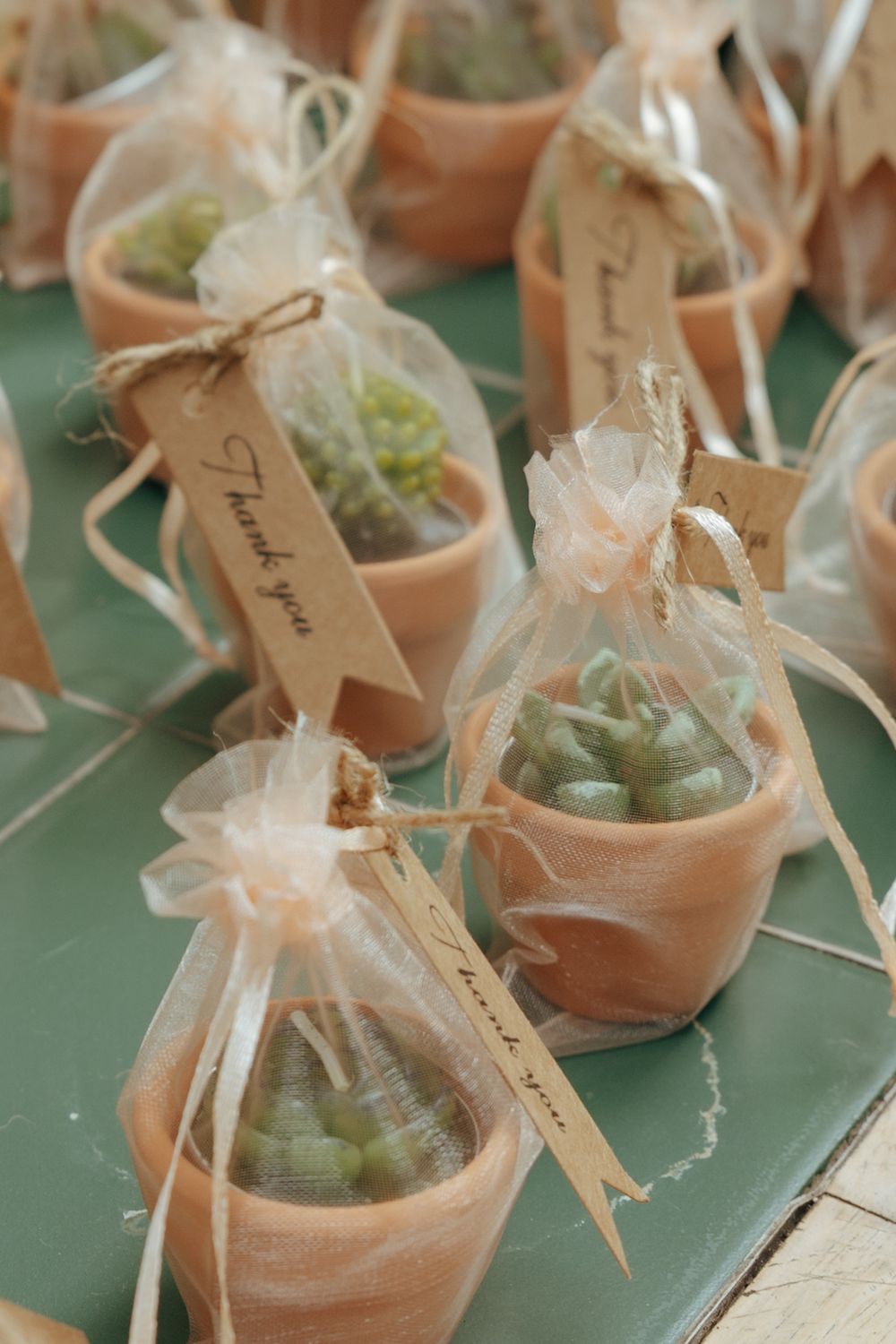 Small terracotta pots with succulents wrapped in organza bags tied with thank you tags as party favors.