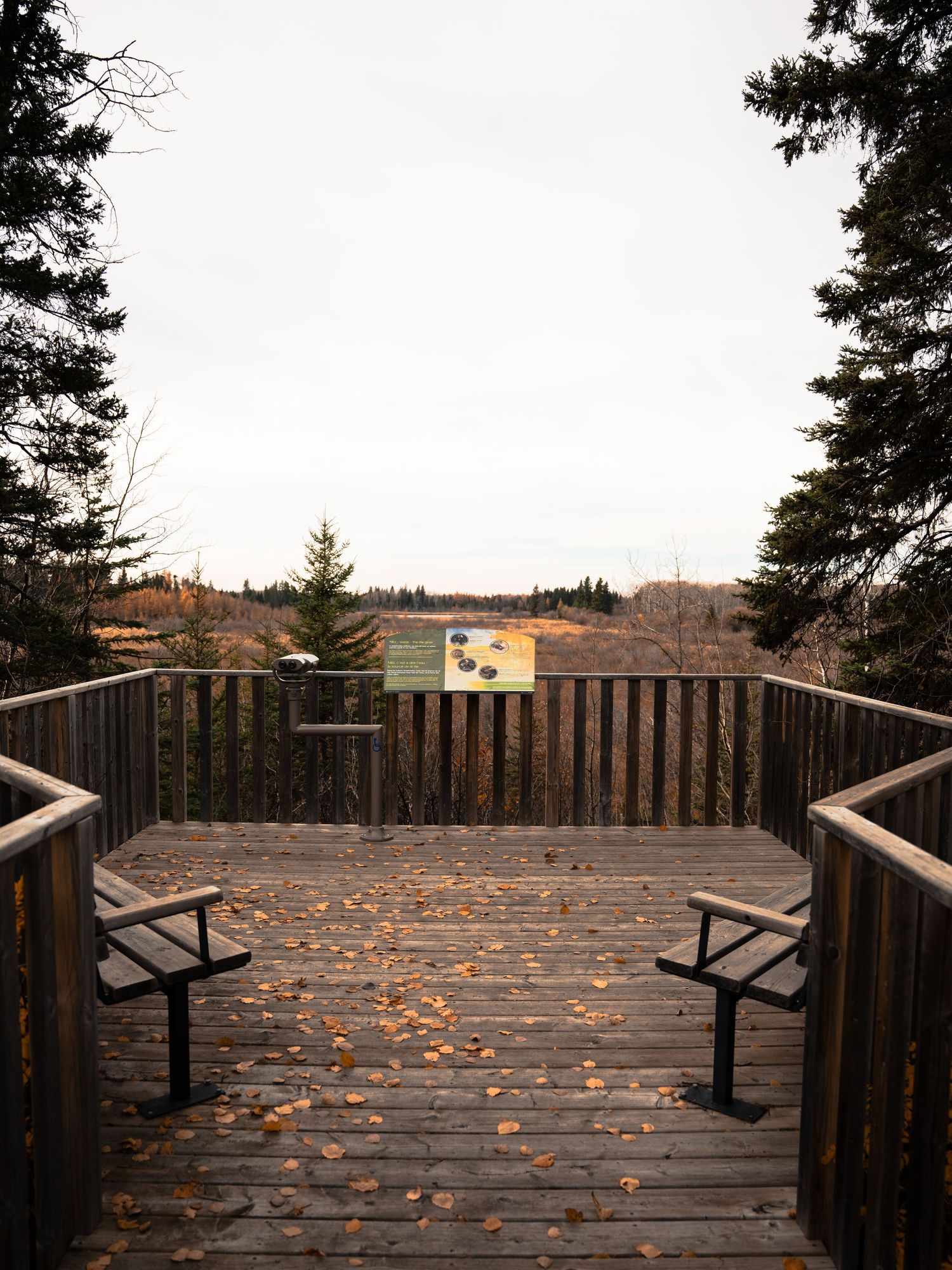 Wooden observation deck with benches covered in fallen autumn leaves overlooking distant landscape.