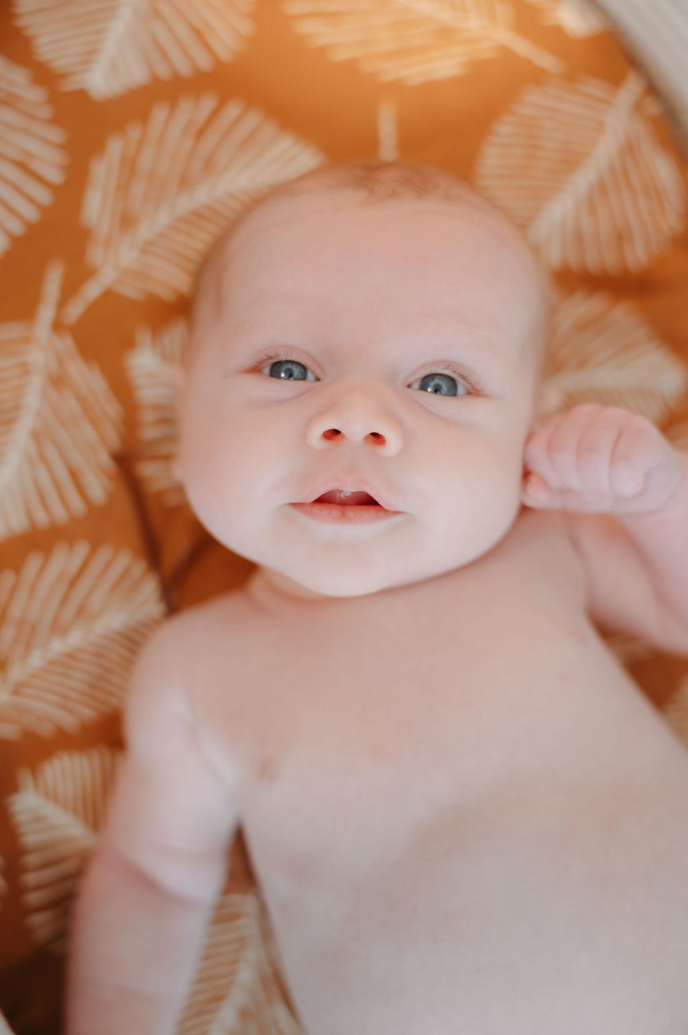 Baby lying on orange floral patterned fabric with bright eyes looking up at camera.