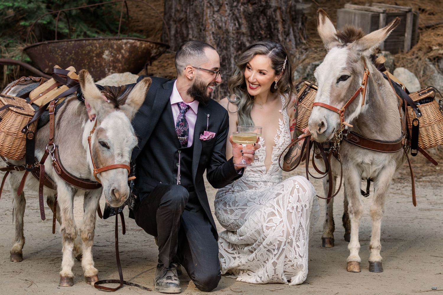 Wedding couple poses with draft horses in rustic outdoor setting.