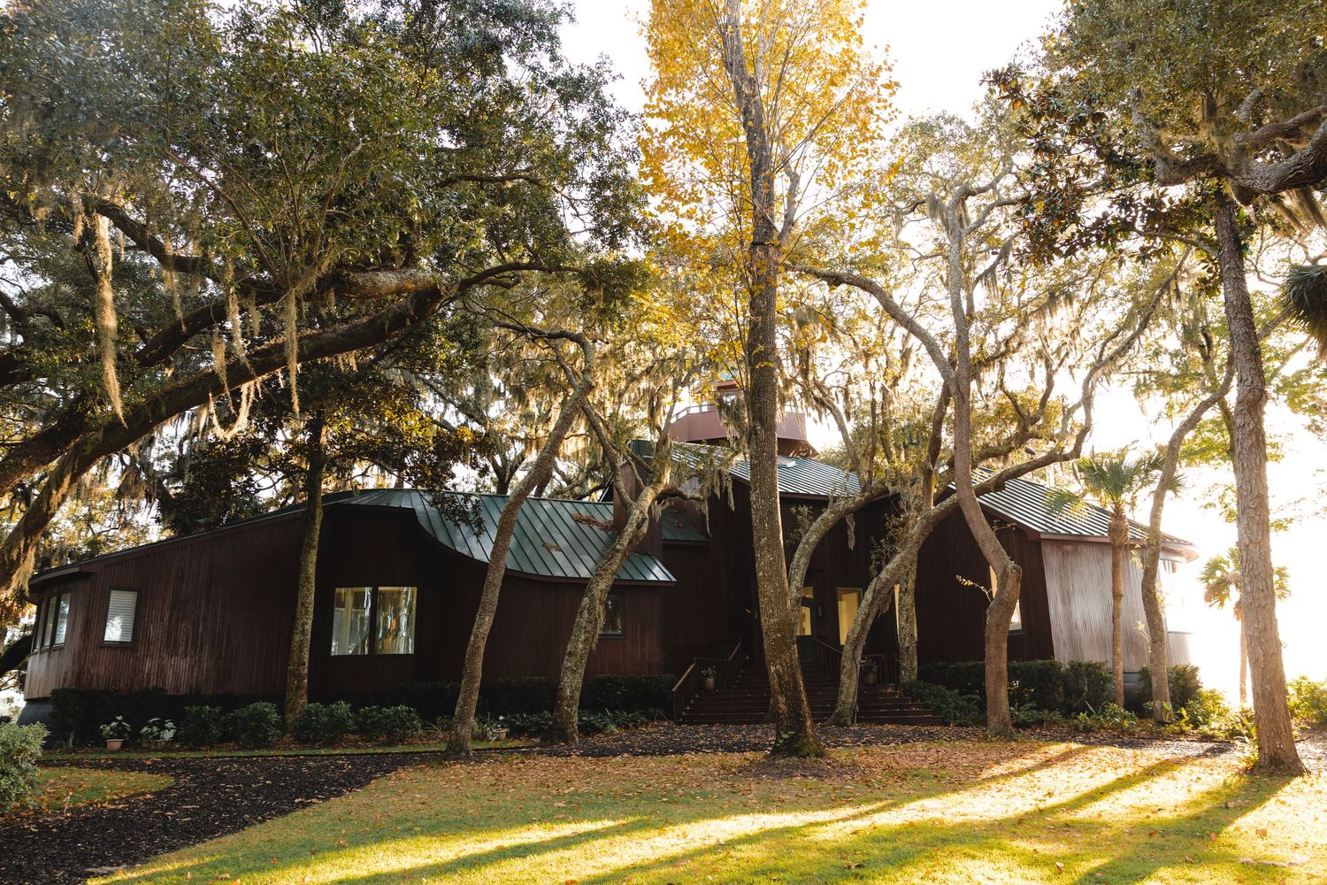 Golden sunset light filtering through trees at an outdoor venue with rustic buildings in background.