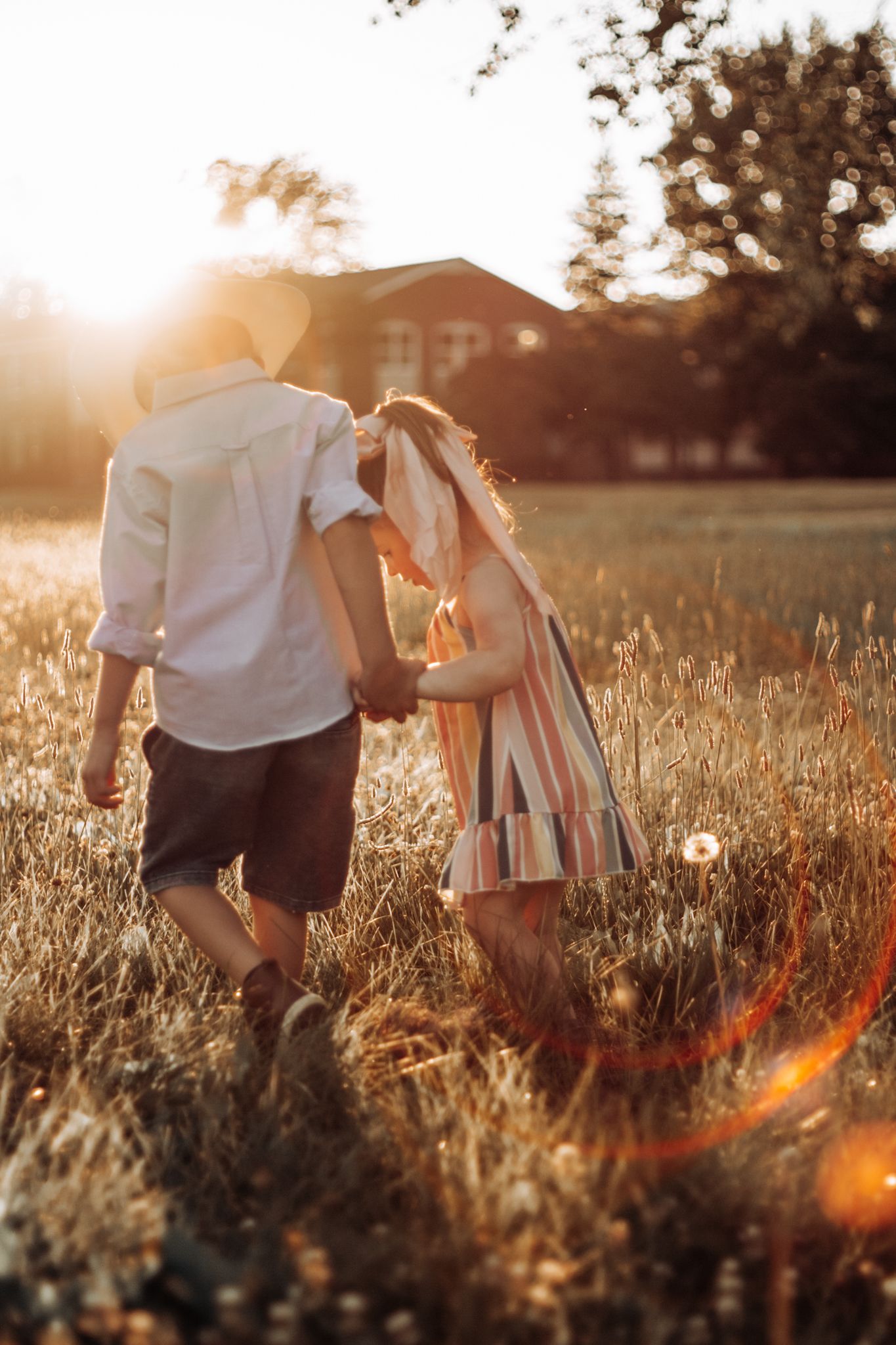 Two people walking through a golden meadow at sunset with sunlight streaming through the field.
