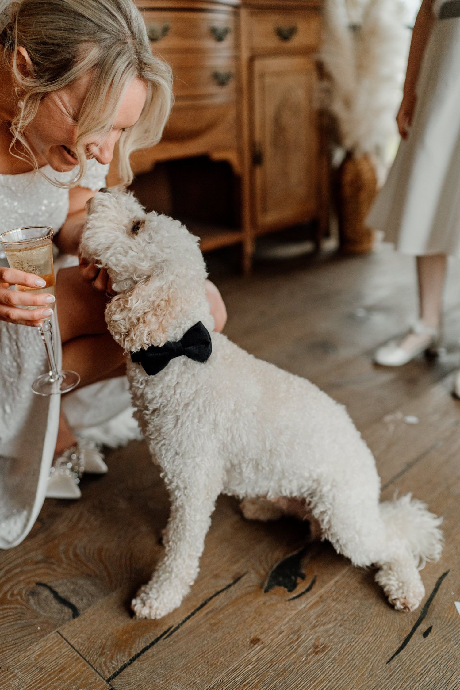 Small white fluffy dog wearing a black bowtie sitting on a rustic wooden floor.