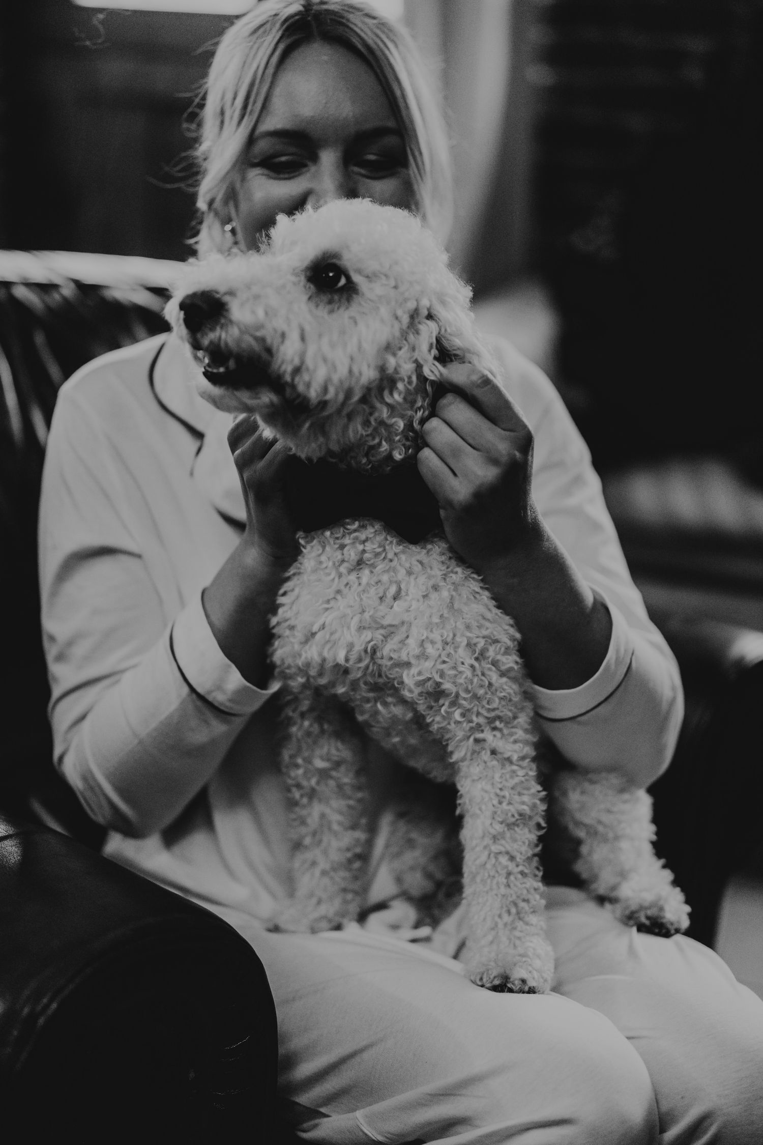 A fluffy white Bichon Frise dog being held and cuddled in black and white photography.
