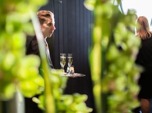 Two champagne flutes on a dark table viewed through green leaves in the foreground.