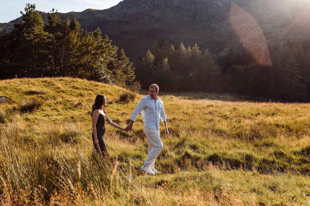 Two figures walking through a sunlit mountain meadow with golden grass and evergreen trees in the background.