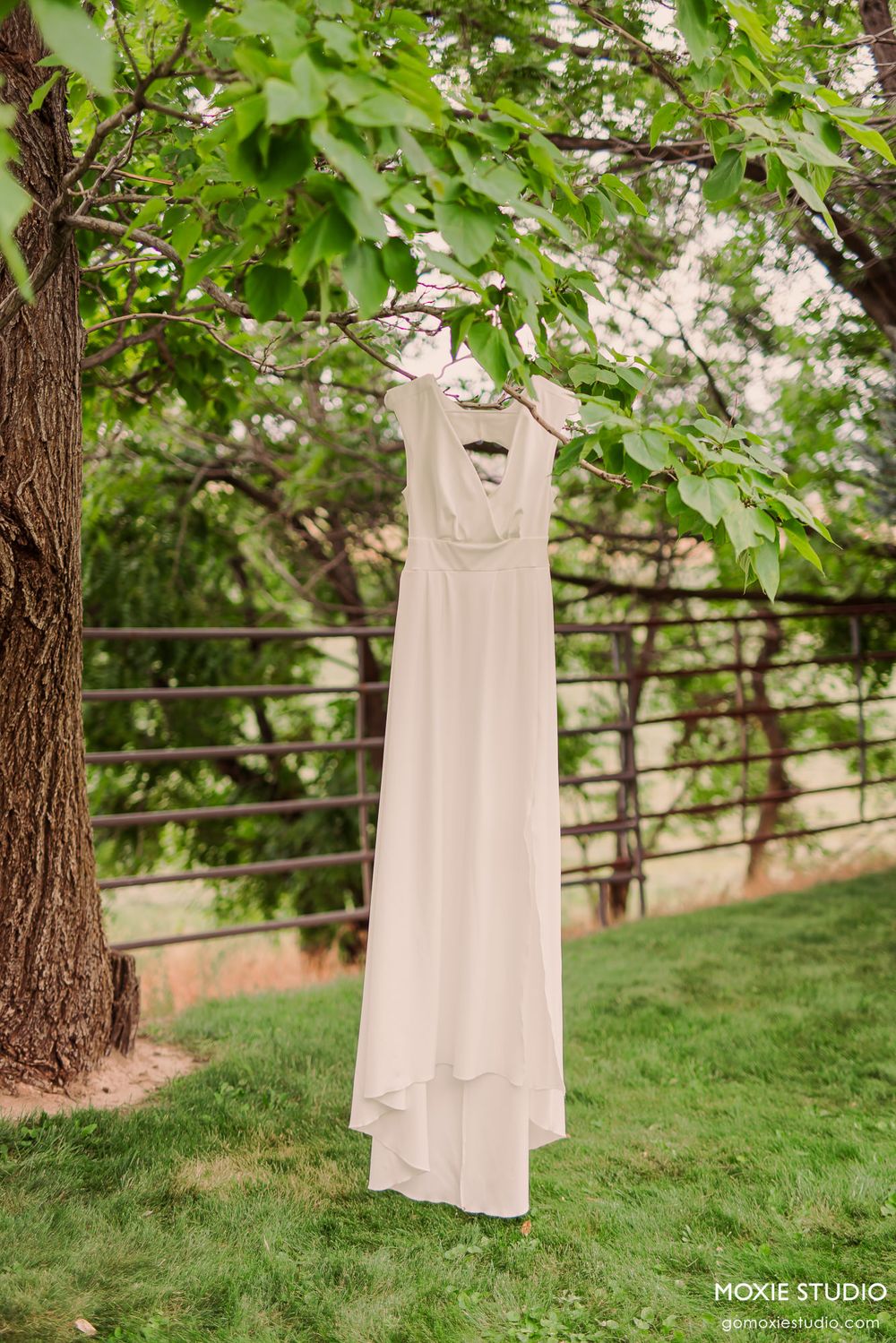 White sleeveless dress hanging from tree branch in outdoor garden setting.