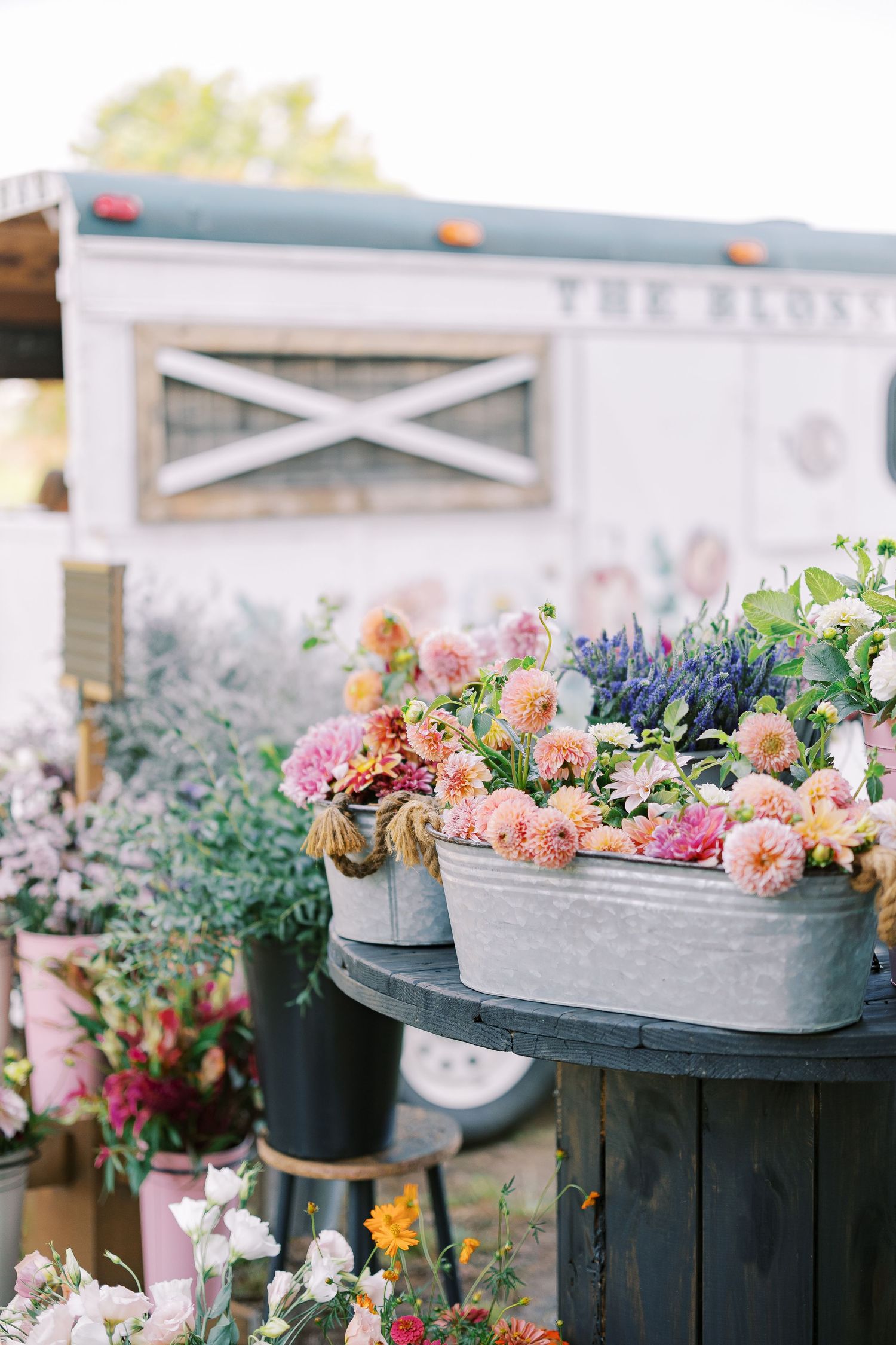Vintage galvanized buckets filled with pink and blue flowers displayed on rustic wooden shelving.