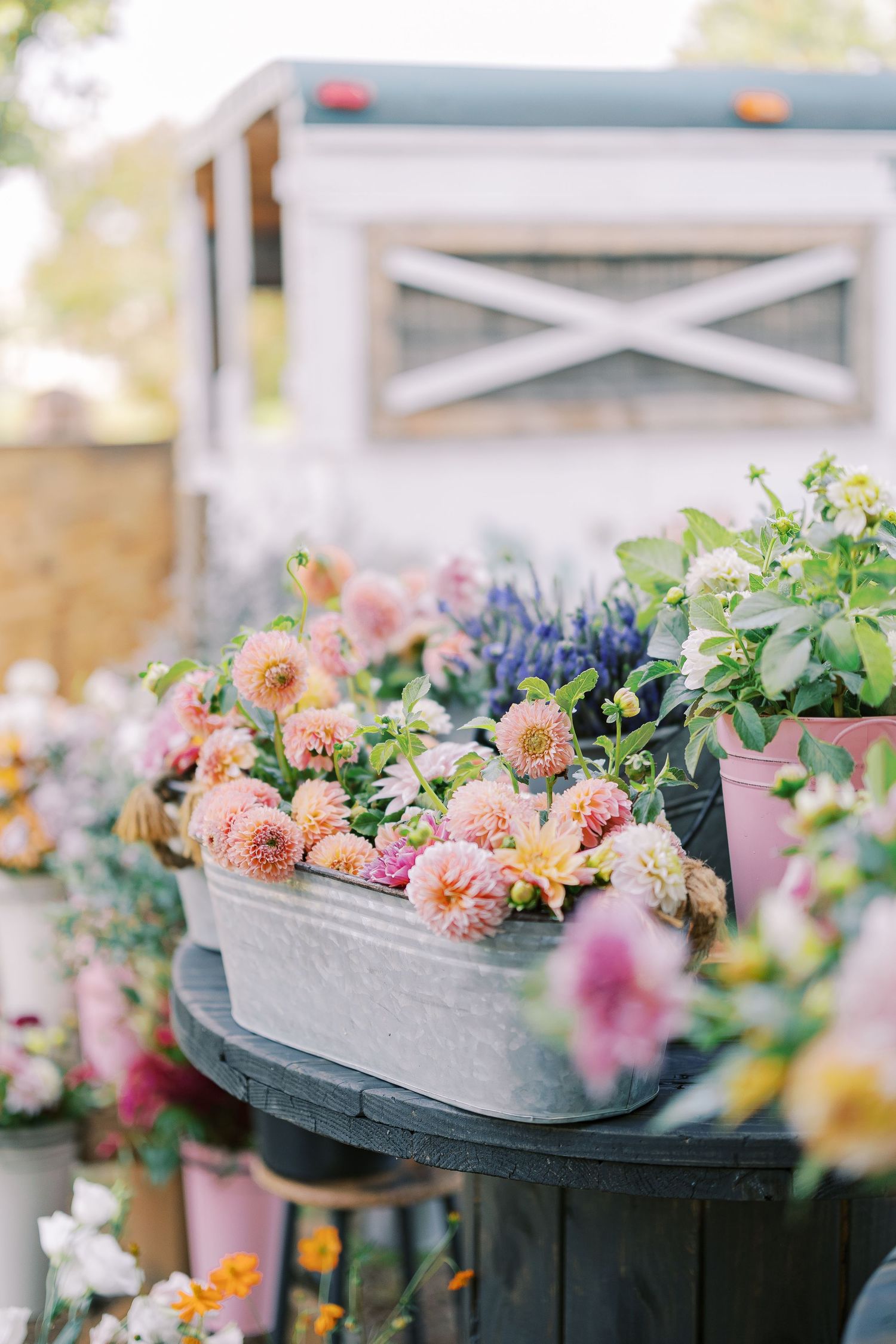 Rustic metal container filled with pink and peach garden flowers against white farmhouse backdrop.