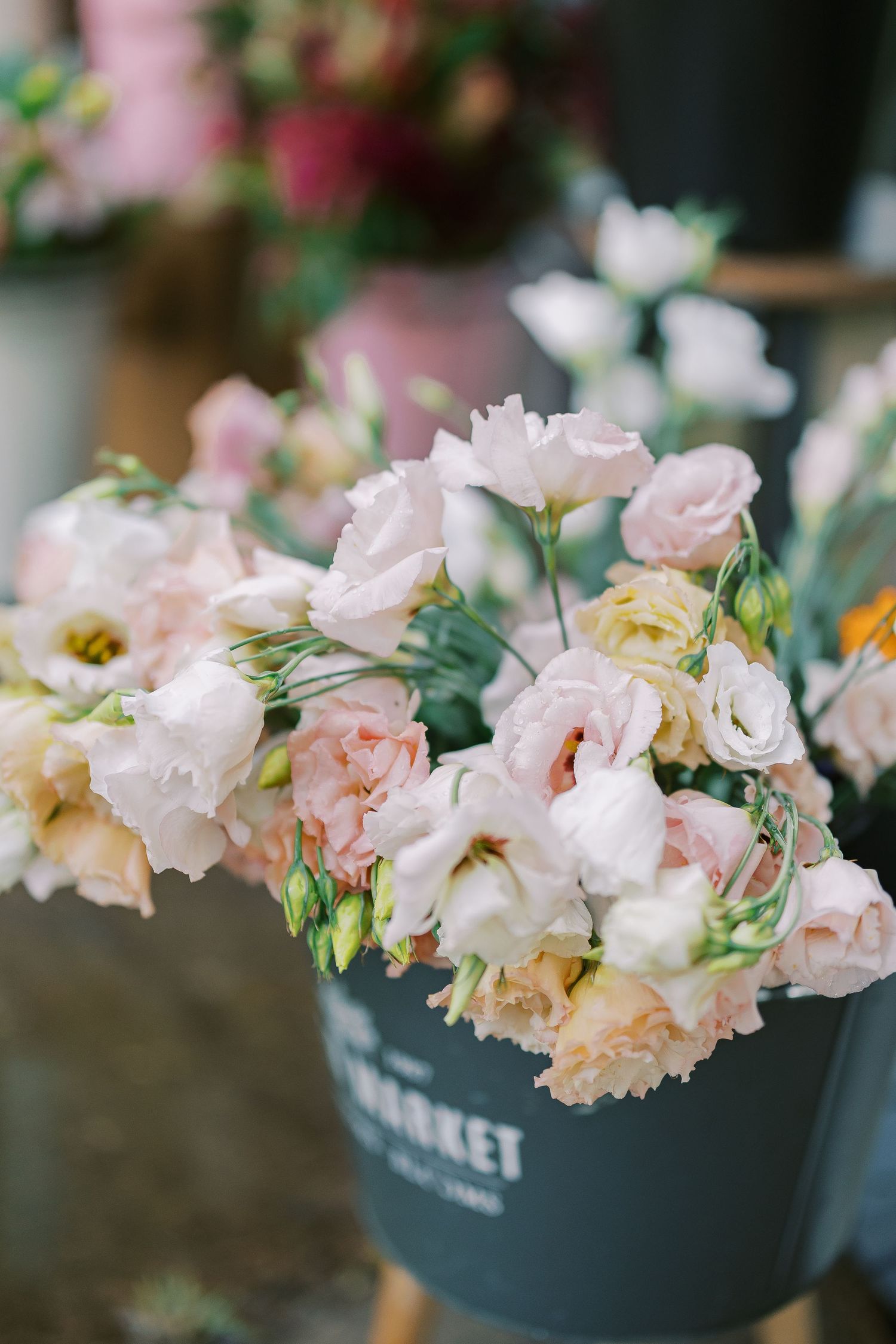 Delicate pink and cream roses arranged in a dark bucket with soft focus background.