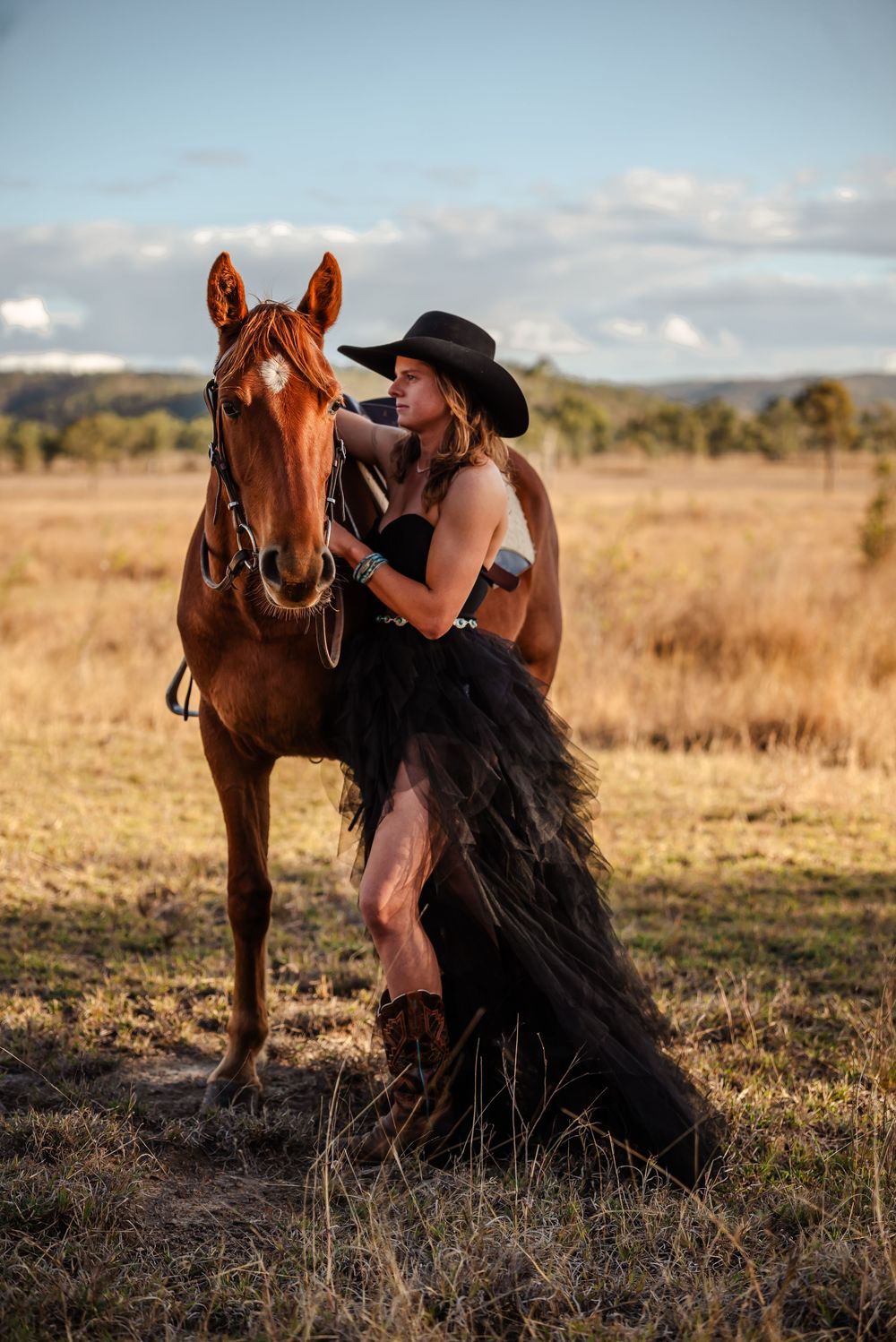 A brown horse stands in golden field at sunset with rustic country landscape in background.