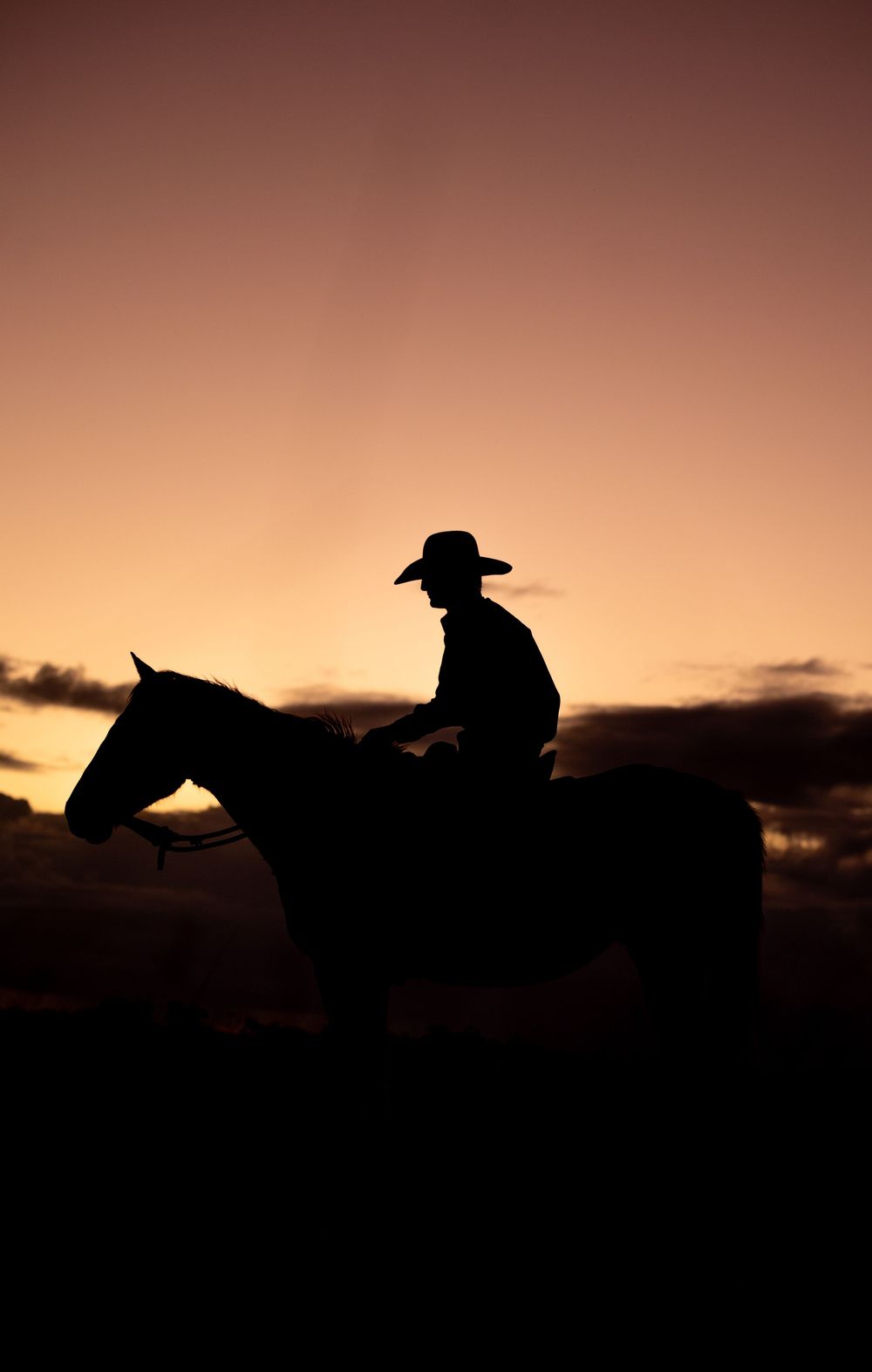A silhouette of a cowboy on horseback against a warm sunset sky.